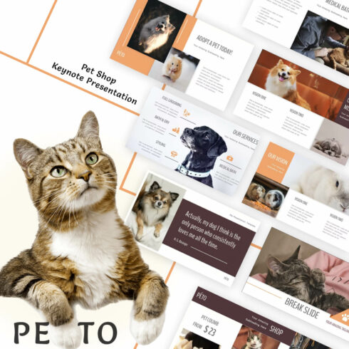 Peto Pet Shop Keynote Presentation.