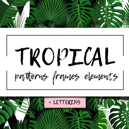 Tropical Summer Palm Patterns & Elements cover.