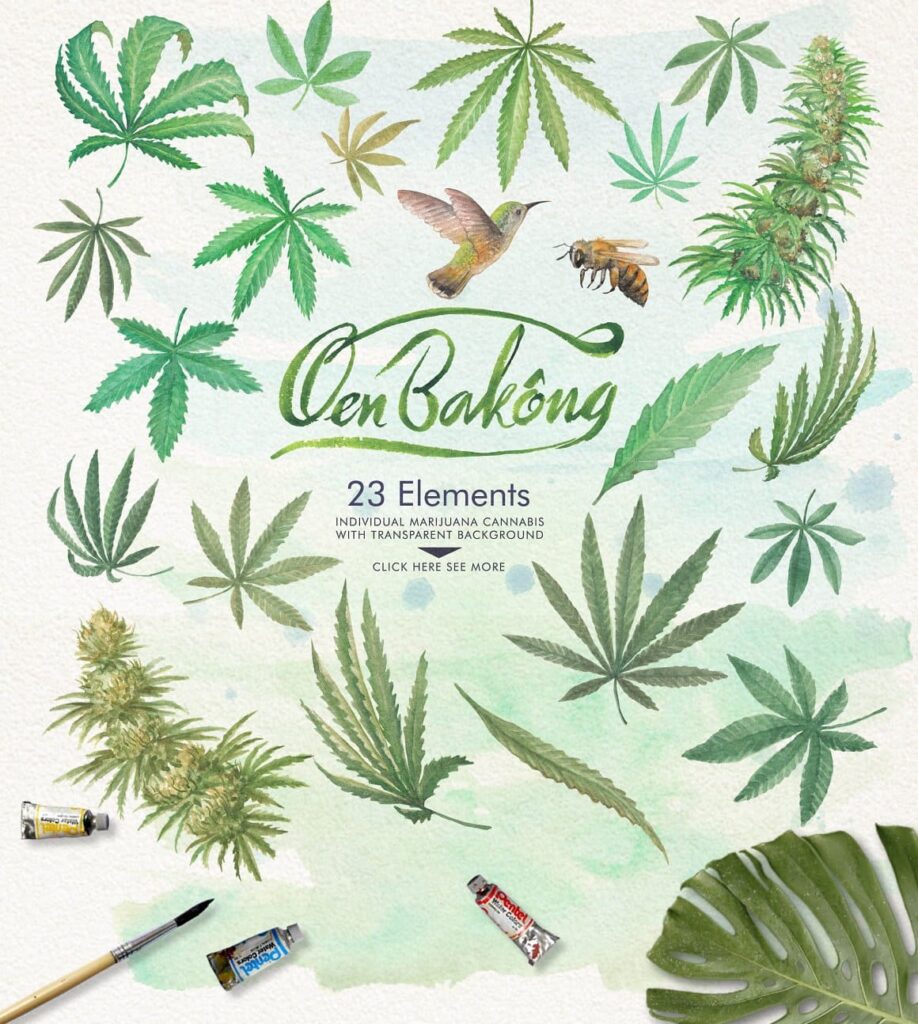 Watercolor marijuana set 23 elements.