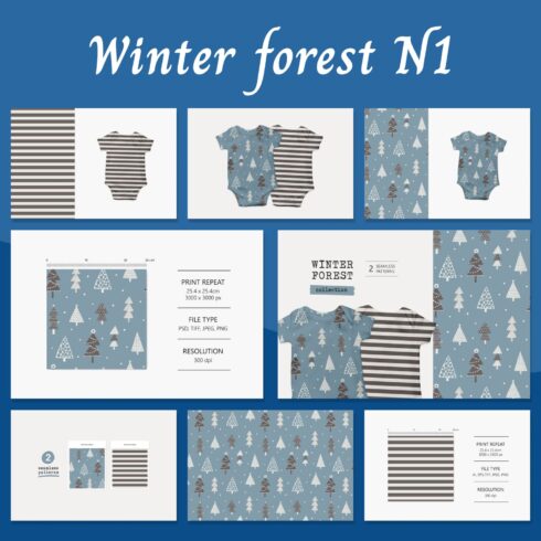 Winter Forest N1 01.