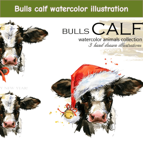 Bulls calf watercolor illustration.