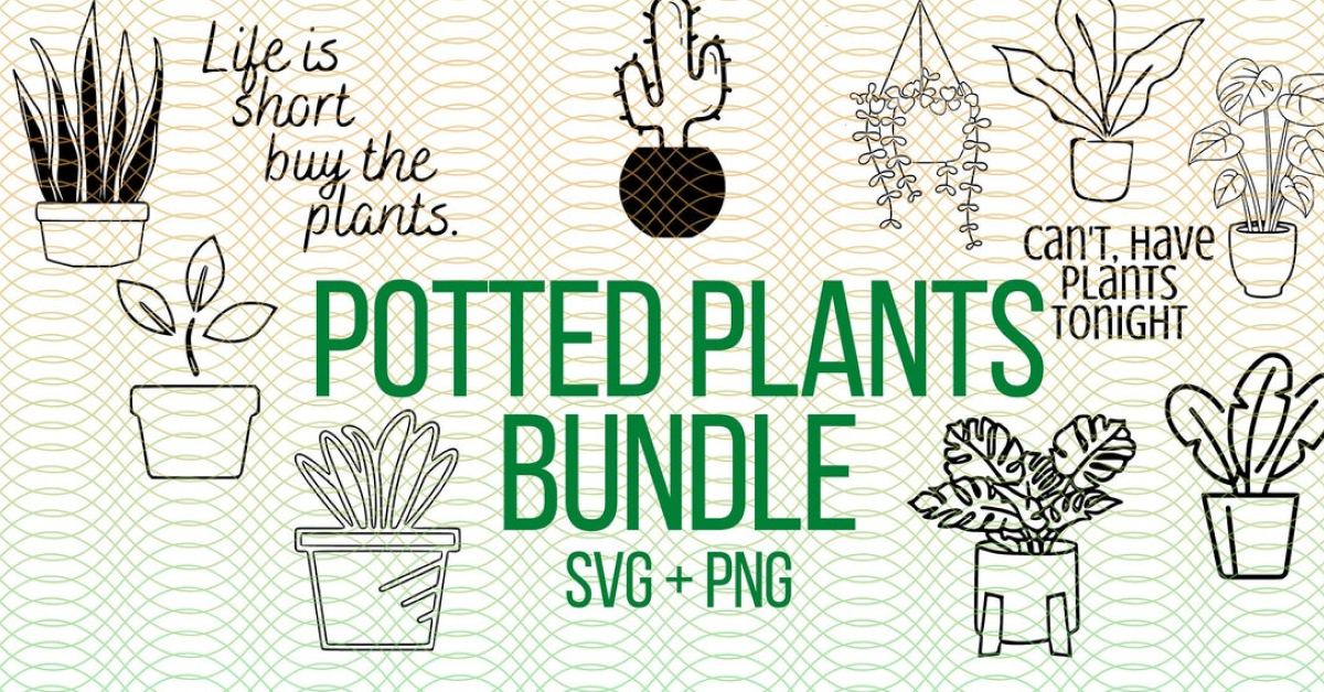 Succulent and cactus design svg png download.
