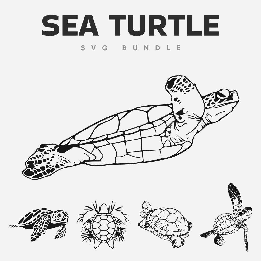 Sea turtle svg.