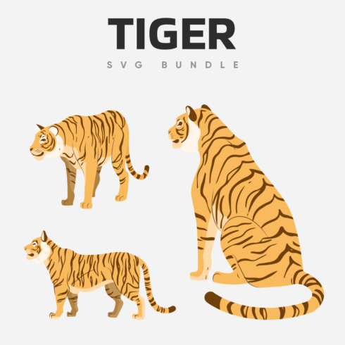 Tiger and a tiger cub are shown in three different poses.