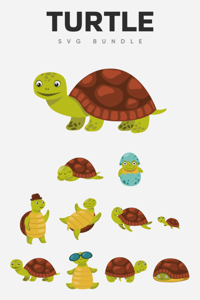 Turtle SVG Bundle – MasterBundles