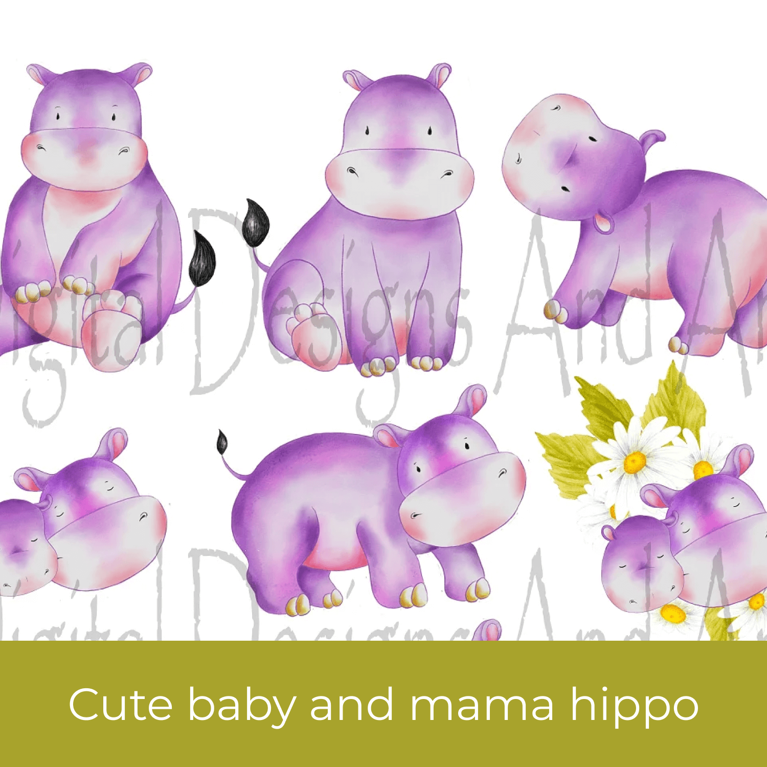 Baby and mama hippo.