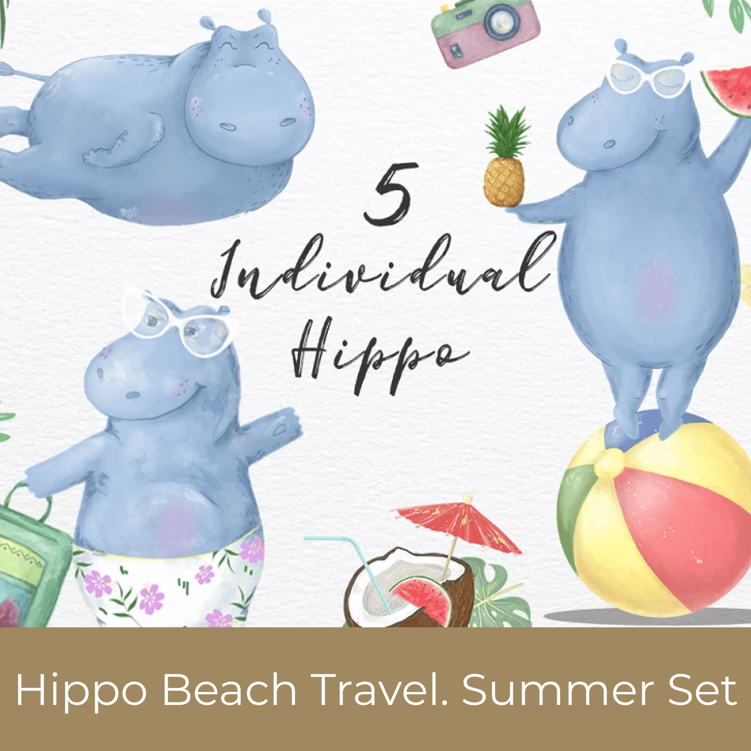 Hippo beach travel.