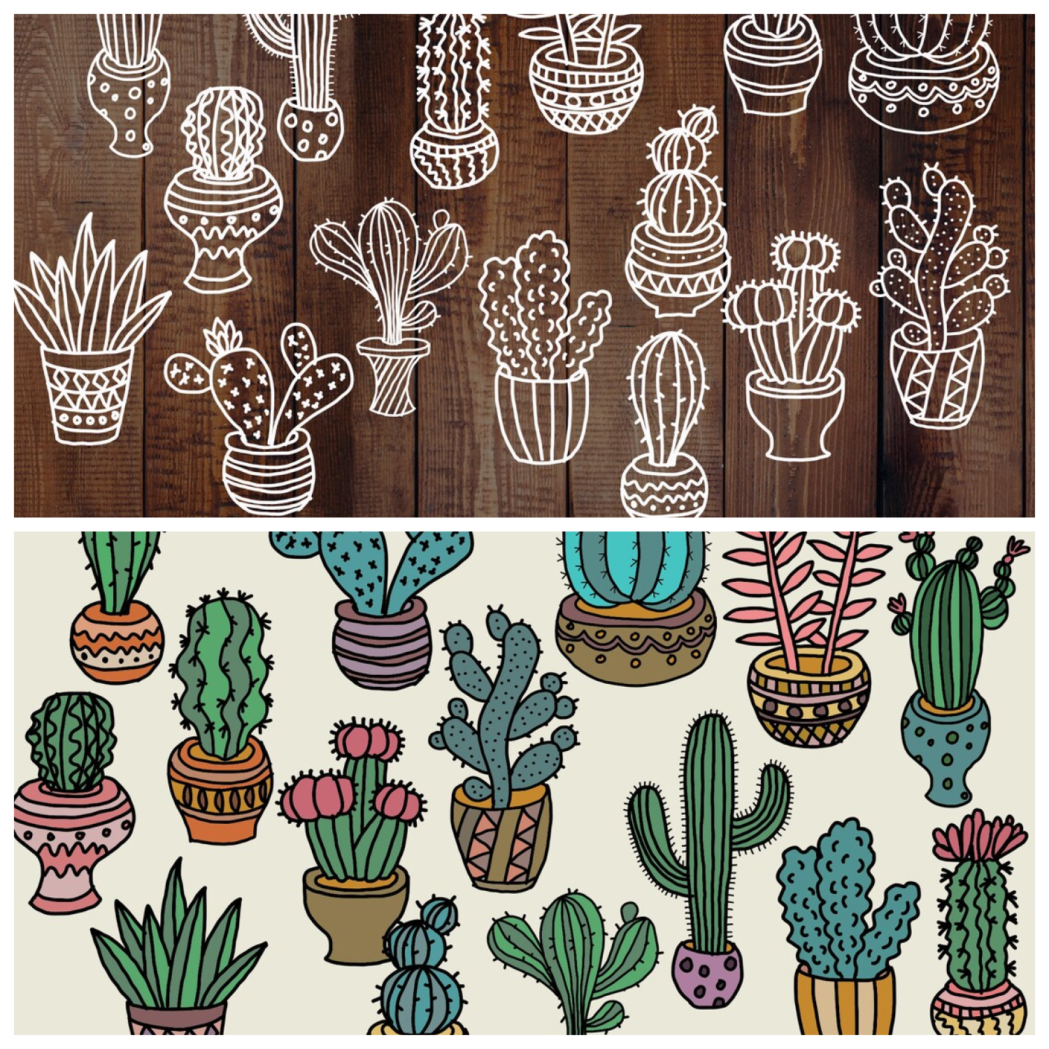 Cactus designs svg png pdf.