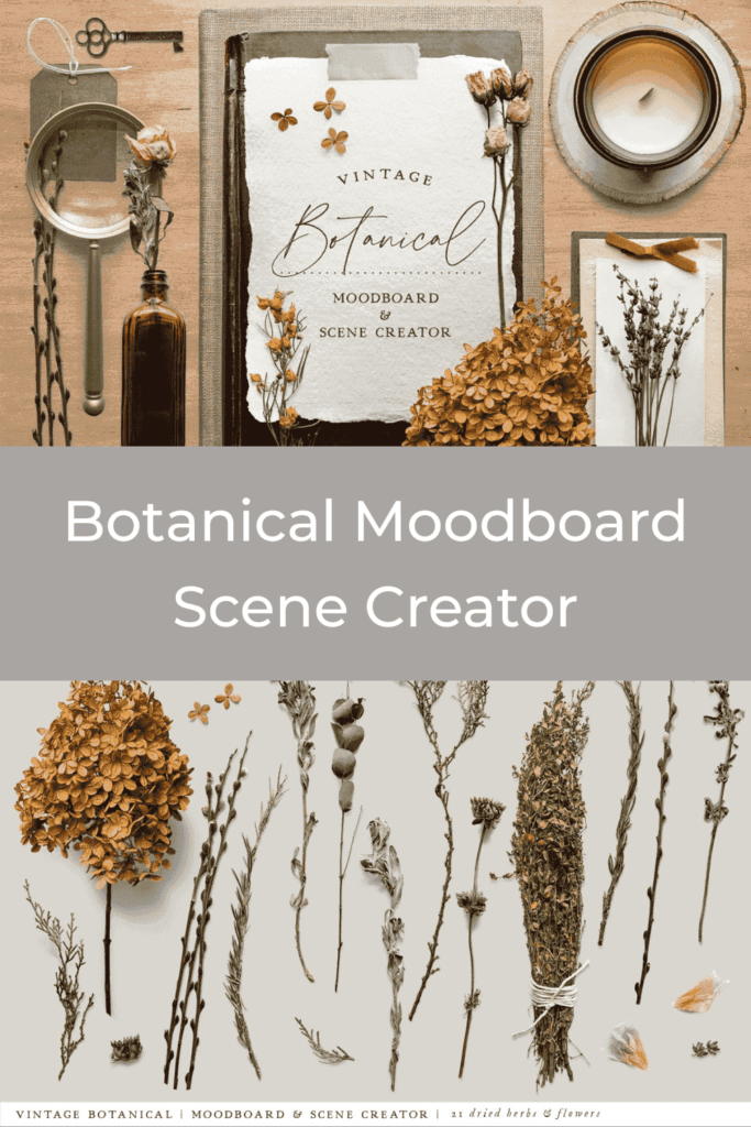 Botanical Moodboard Scene Creator Masterbundles