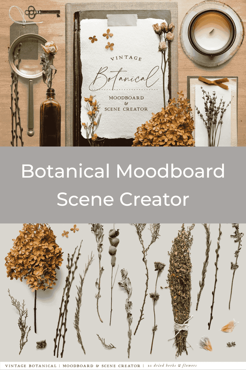 Botanical Moodboard Scene Creator Preview.