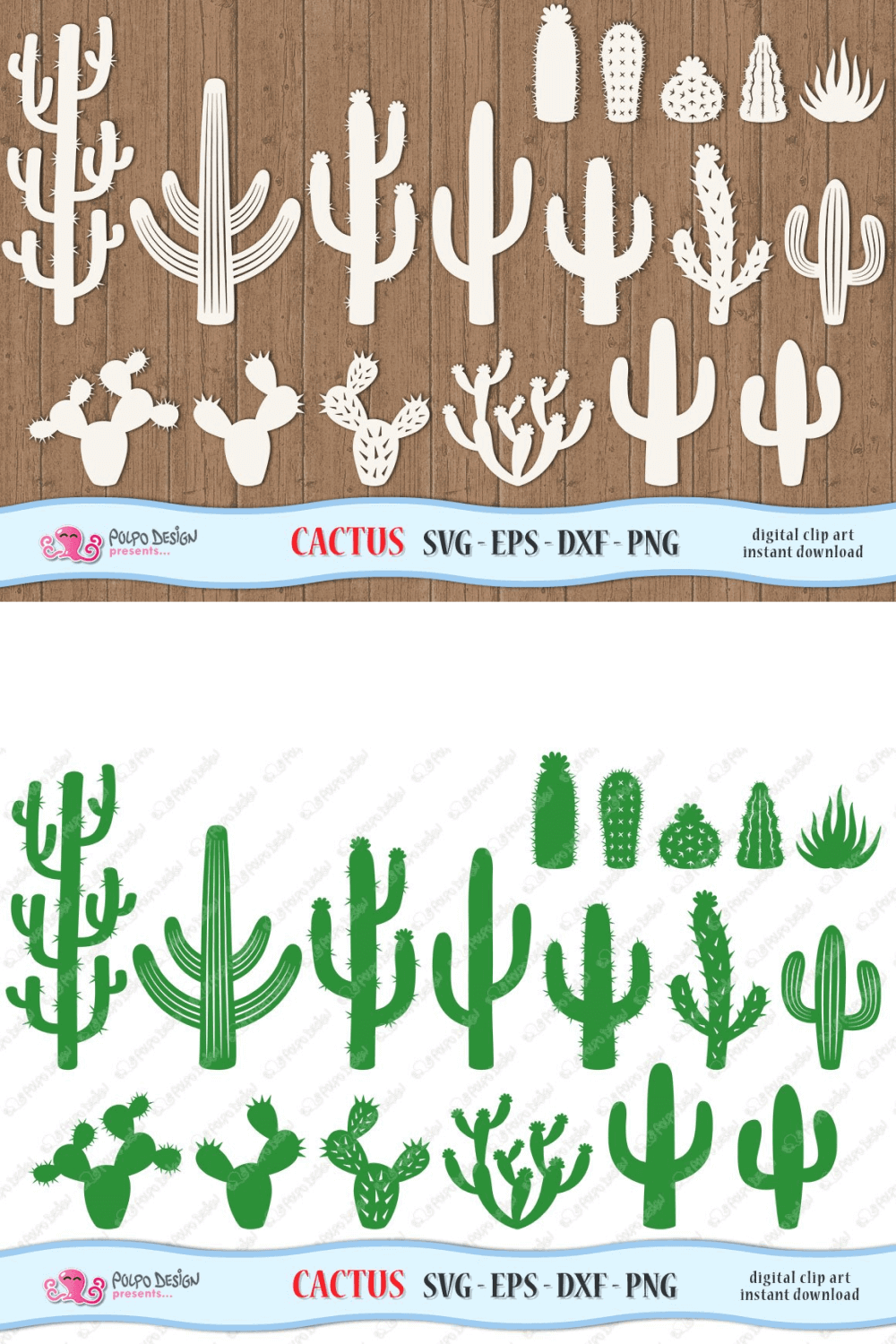Cactus on Various Backgrounds.