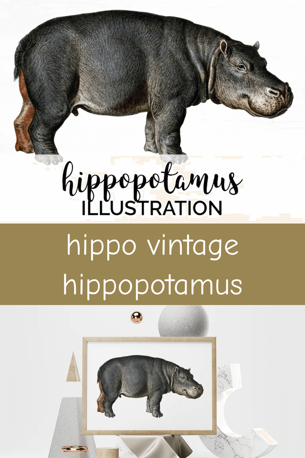 Hippo vintage hippopotamus.