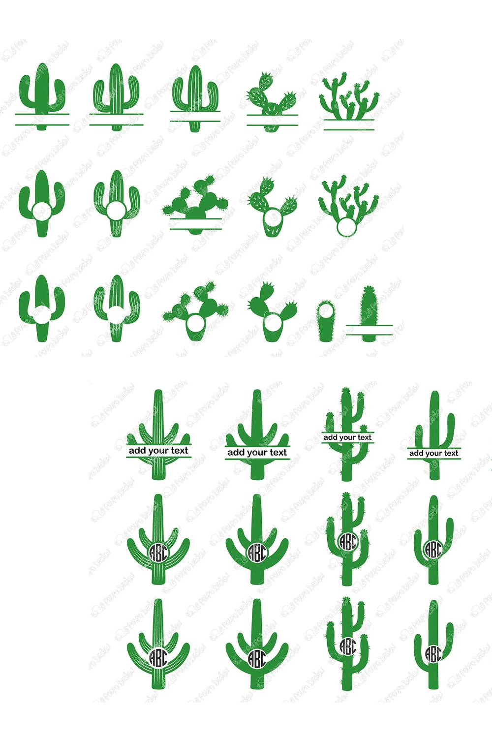 Green Cactuses on White Background.