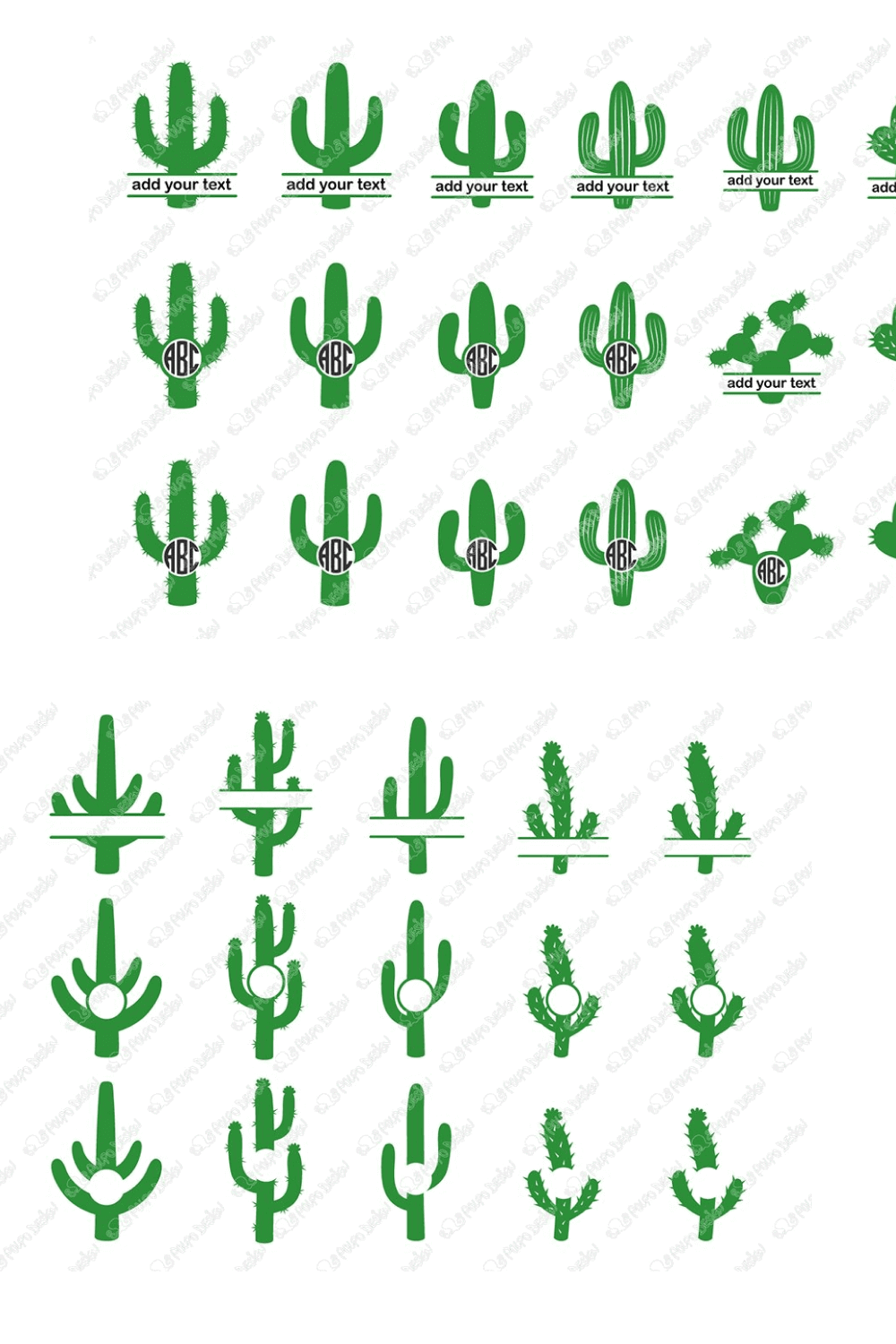 Various Types of Green Cactuses.