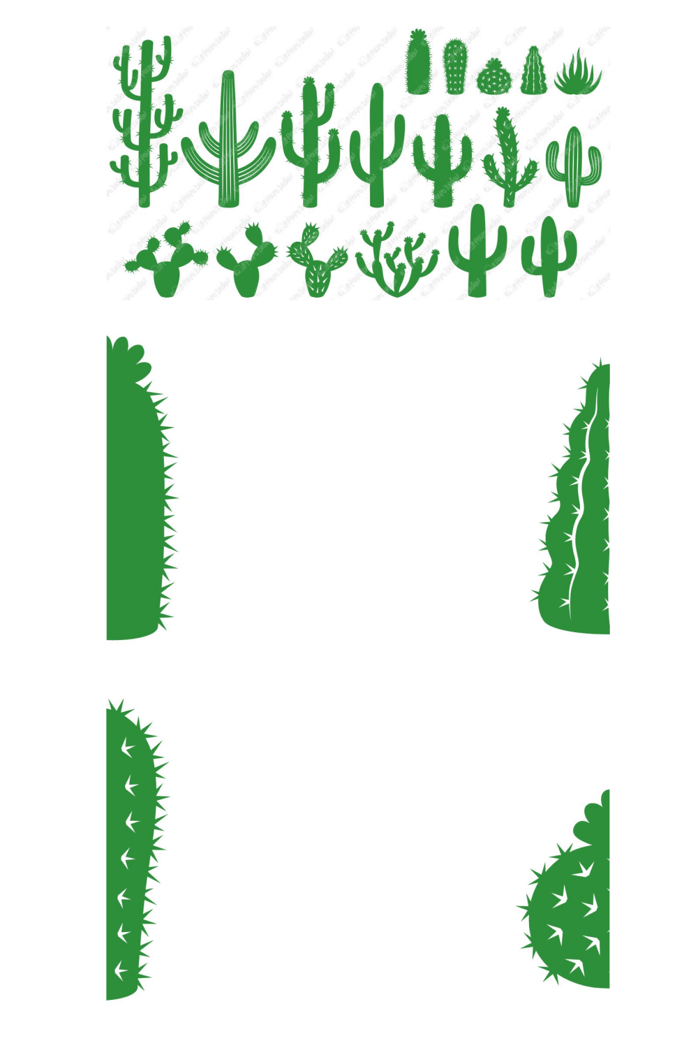 Many Types of Cactuses.