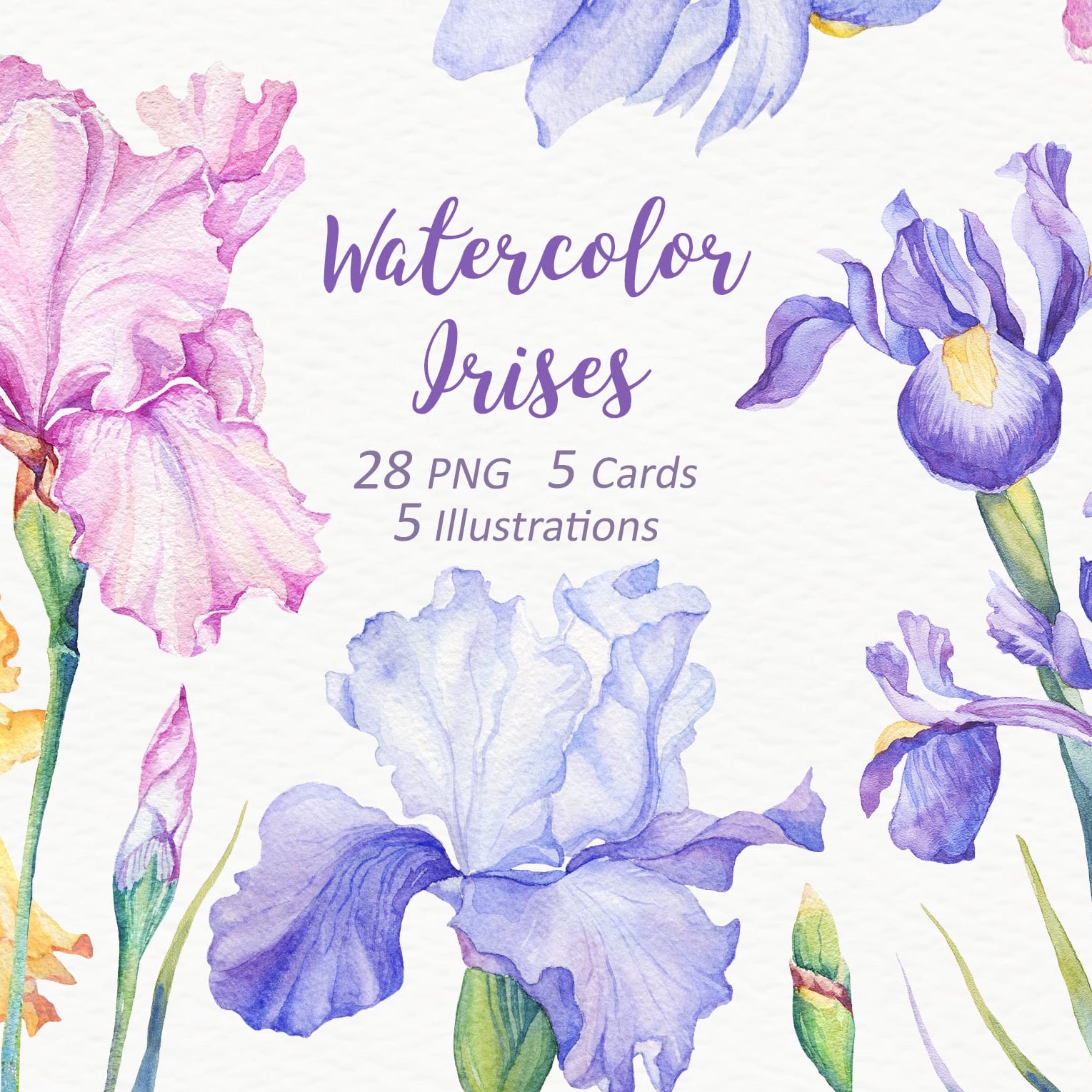 Watercolor Irises cover image.