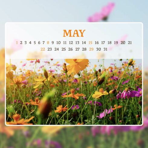 Free Wild Flowers Editable May Calendar cover image.