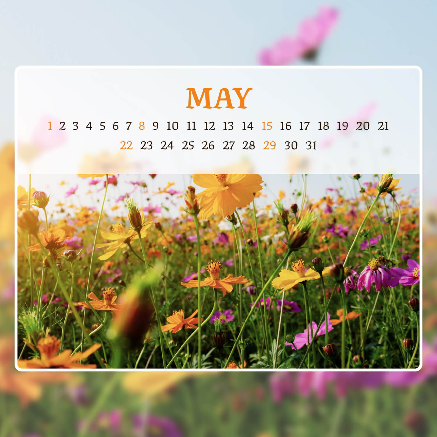 Free Wild Flowers Editable May Calendar cover image.
