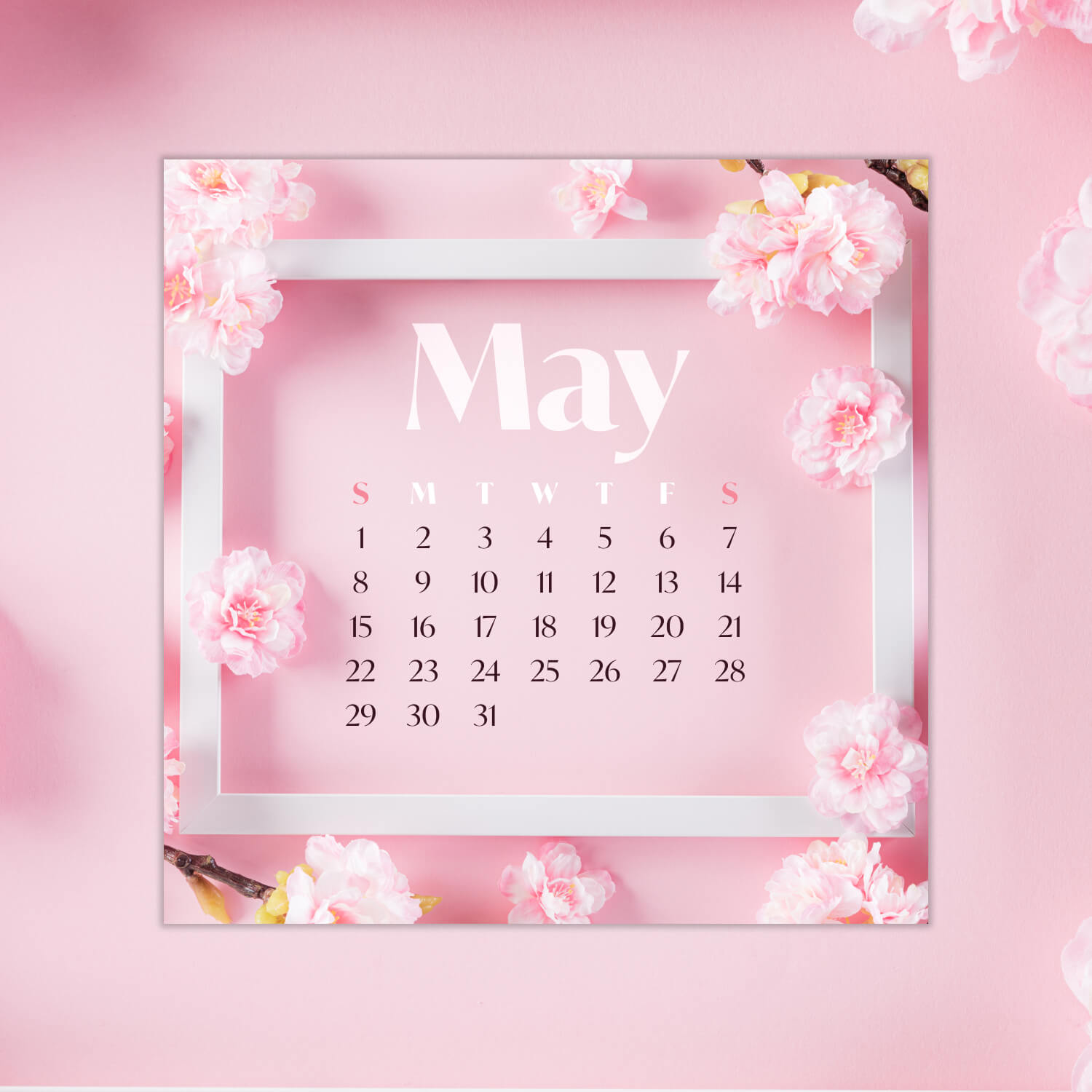Free Pink Editable May Calendar preview.