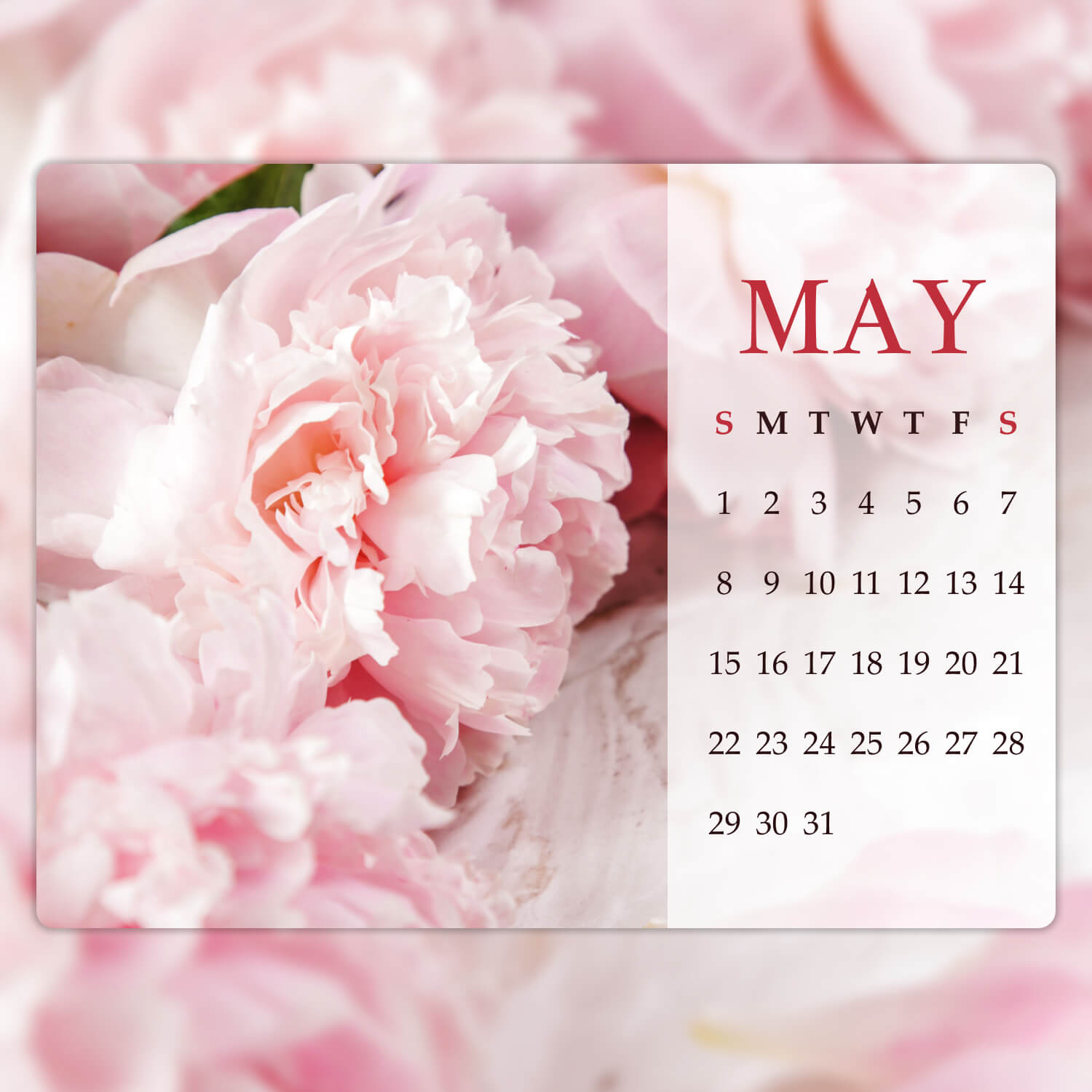 Lấy cảm hứng từ những bông hoa mẫu đơn tuyệt đẹp, Peony Editable May Calendar sẽ giúp bạn thêm động lực và sáng tạo trong công việc. Với thiết kế đầy màu sắc và có thể chỉnh sửa, lịch tháng 5 này sẽ giúp bạn quản lý thời gian và làm việc hiệu quả hơn. Hãy cùng cập nhật ngay để có những khoảnh khắc làm việc đầy niềm vui và cảm hứng.