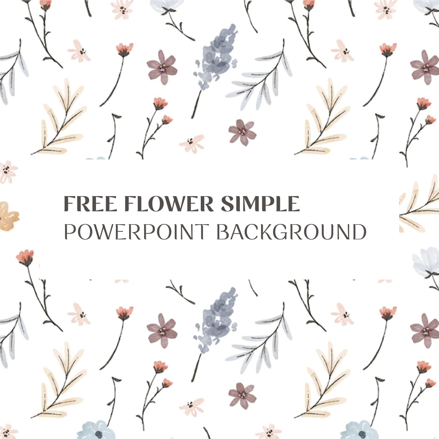 Free Flower Simple Powerpoint Background 1500x1500 2.