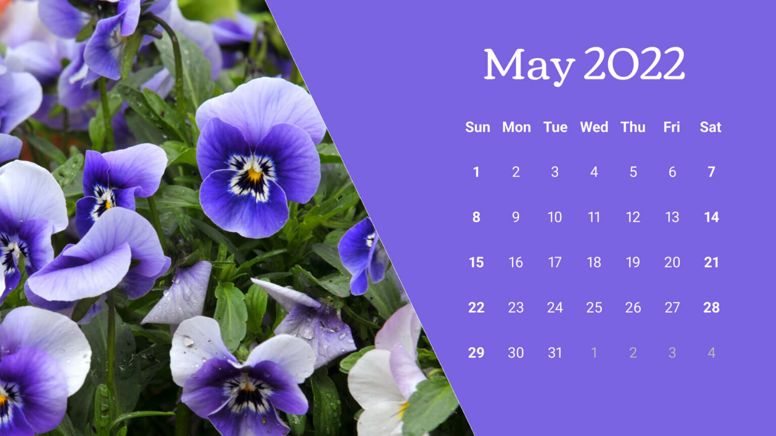 free-printable-may-calendars-masterbundles