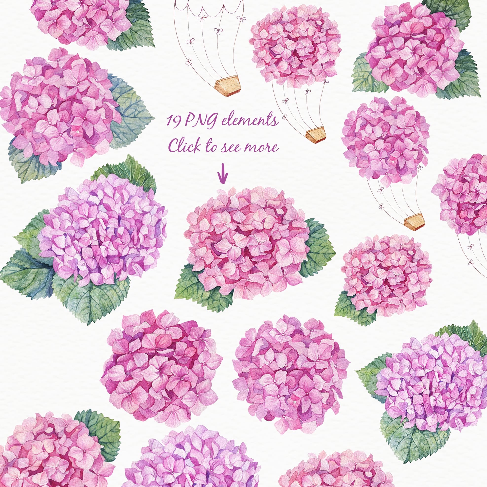 Watercolor Pink Hydrangea preview image.