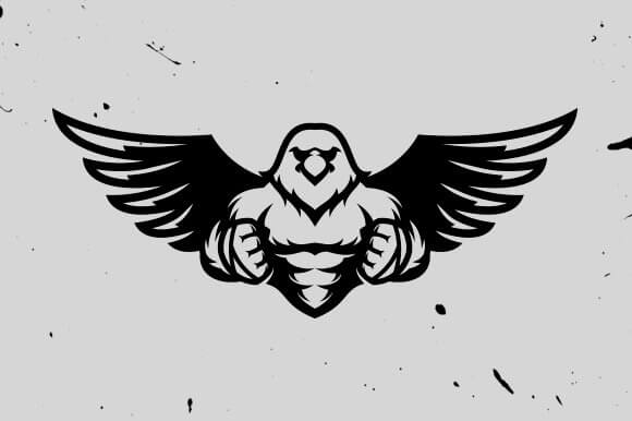 Many Logos Hawk.