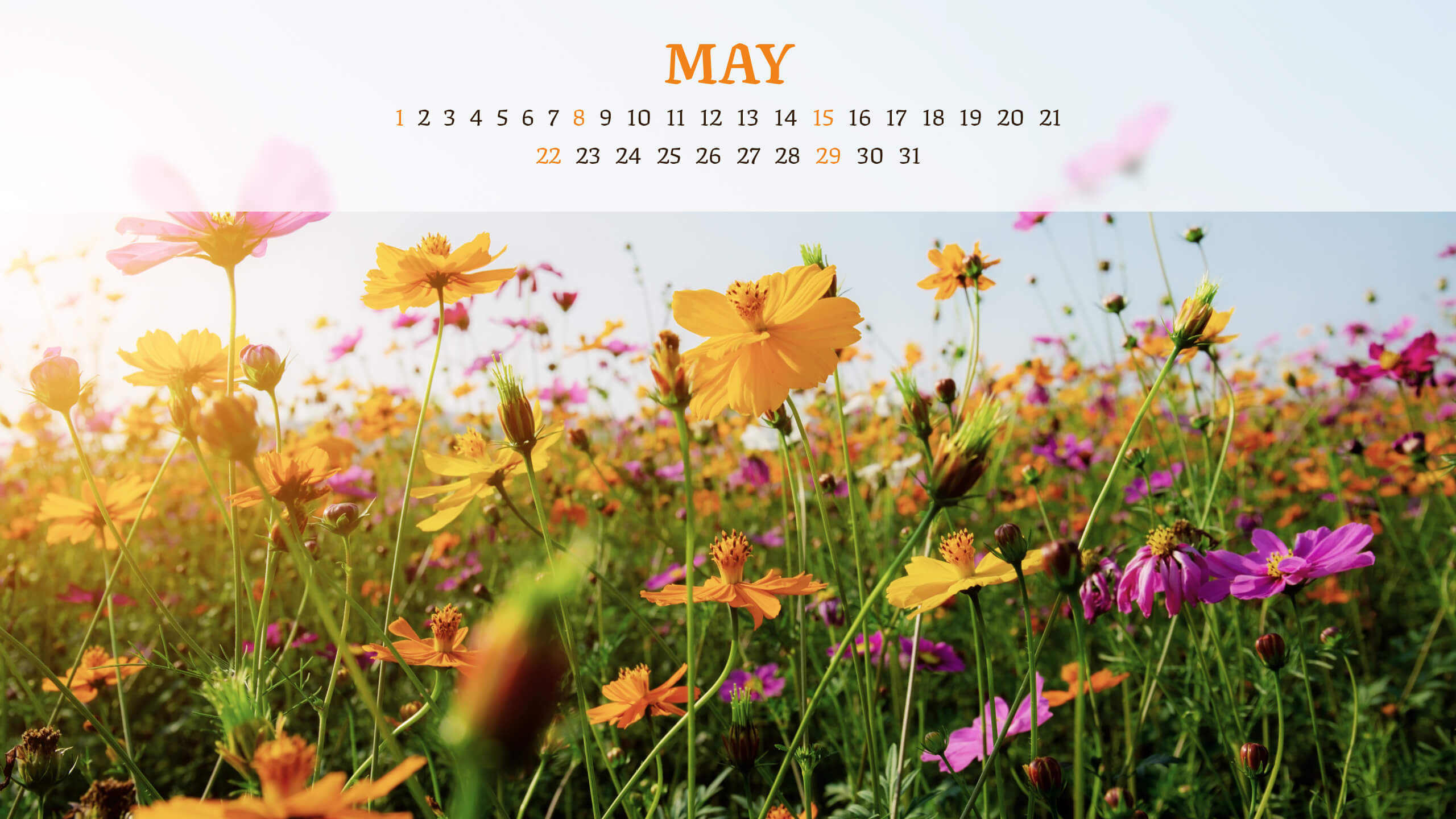 Free Wild Flowers Editable May Calendar.