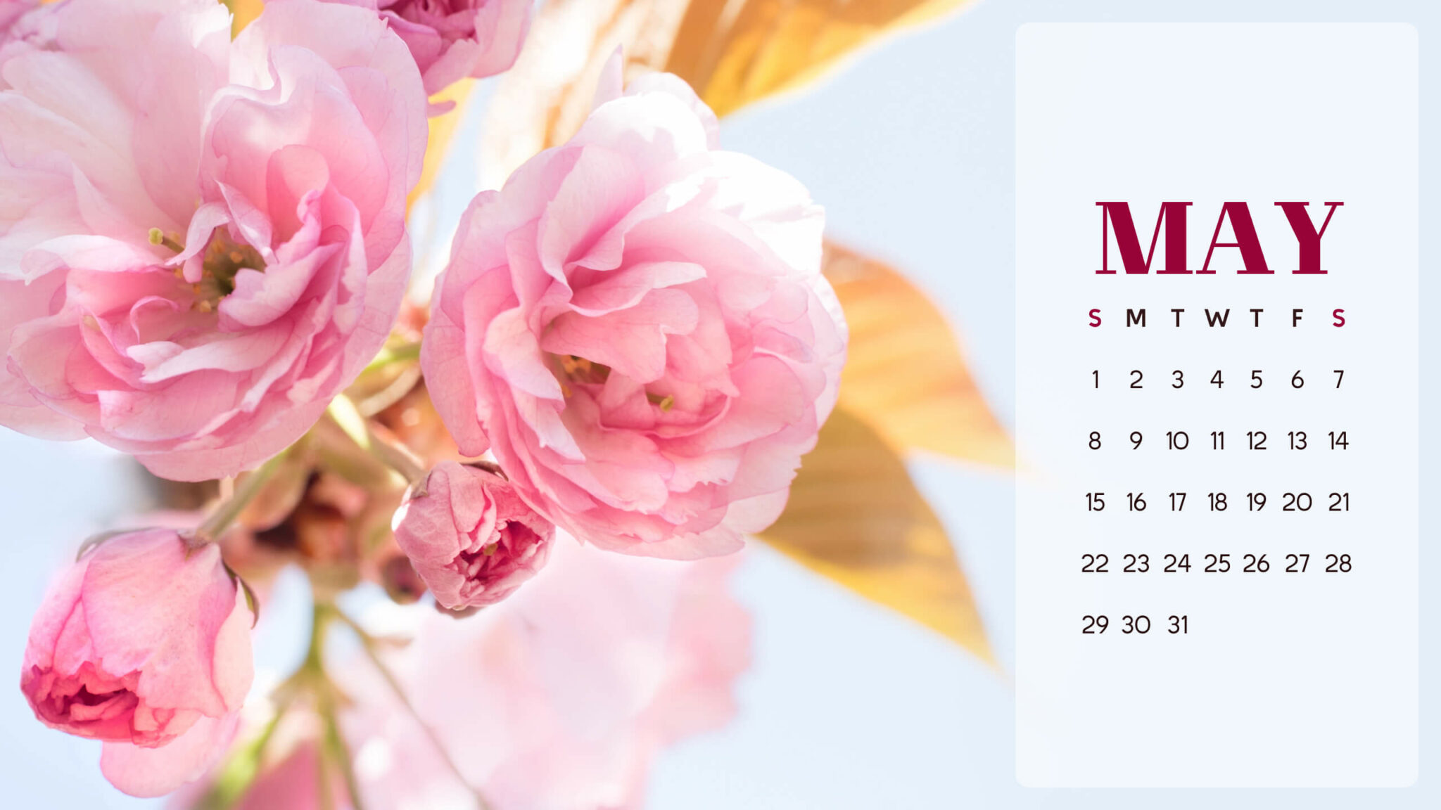 Bright Flowers Free May Calendar – MasterBundles