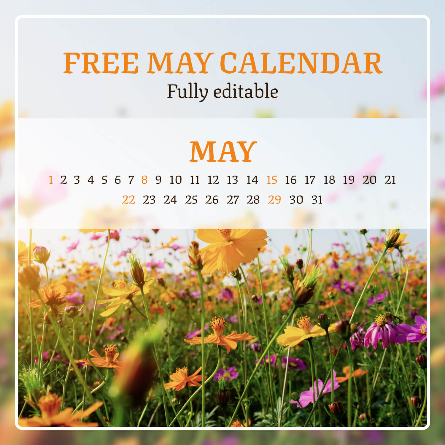 Free Wild Flowers Editable May Calendar previews.