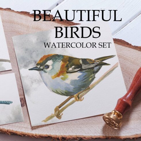 Beautiful Watercolor Birds cover image.