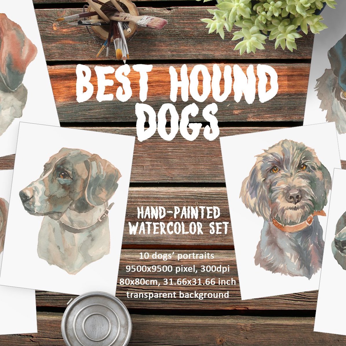 best hound dogs cover image.