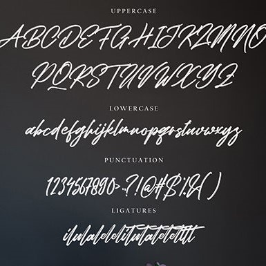 Bhatera Handcrafted Script Versatile Font preview image.