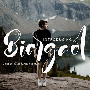 Biargaol Modern Handwritten Font cover image.