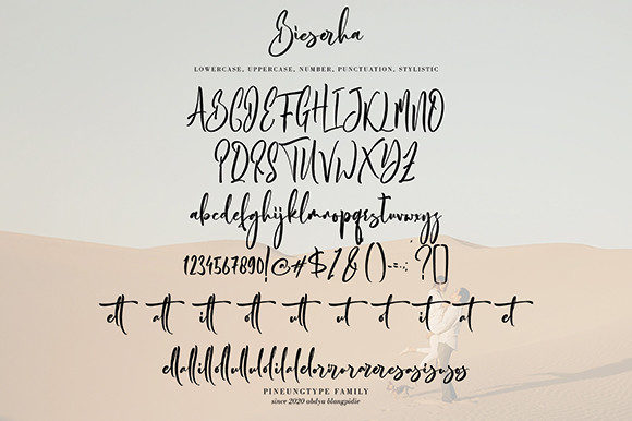bieserha handwritten font alphabet.