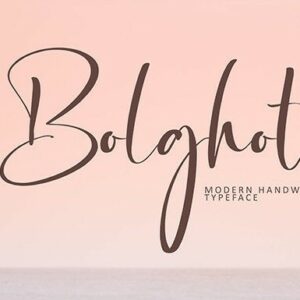 Bolghota Gorgeous Script Font cover image.