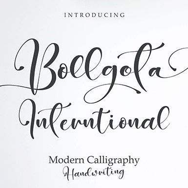 Bollgota Wonderful Bold Font cover image.