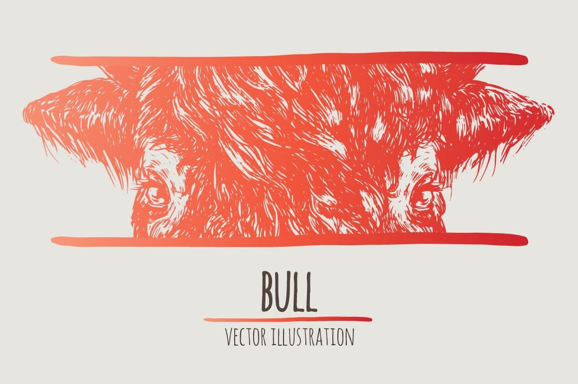 Bulls watercolor illustration.