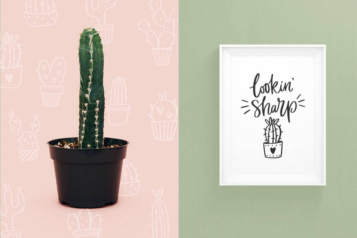 Real Cactus and Cactus Picture.