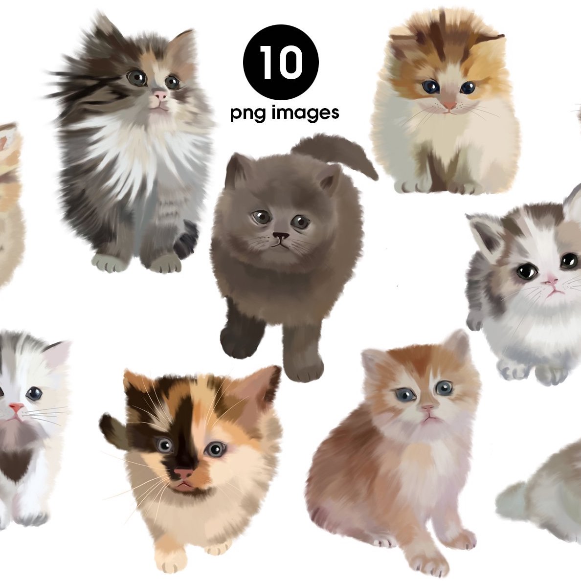 cute kittens preview image.