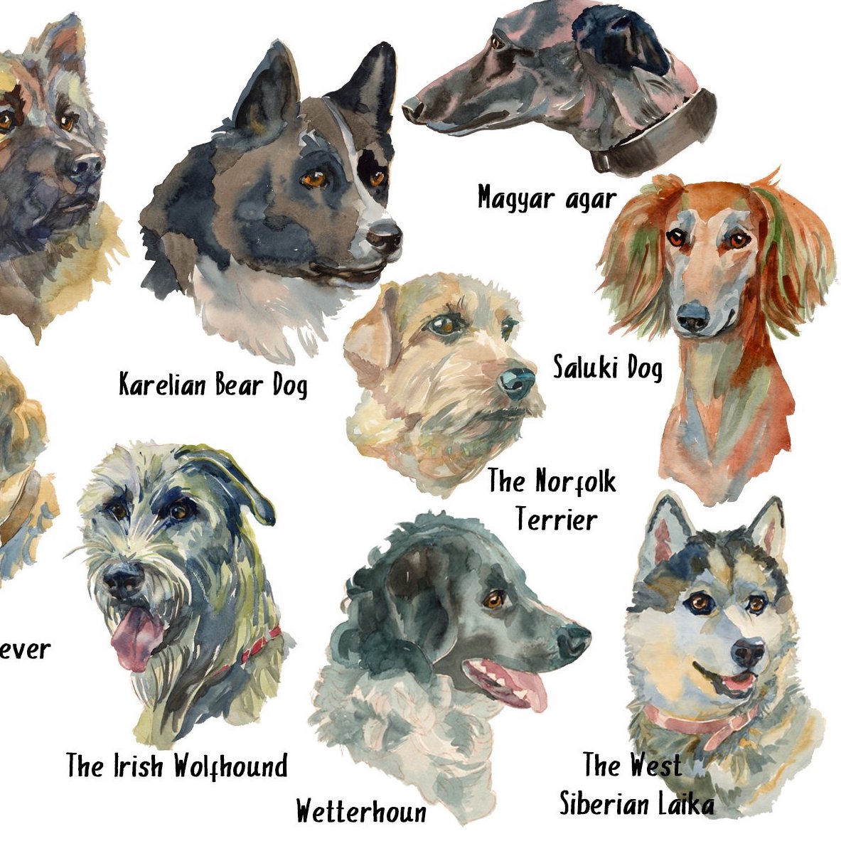 Hunter Dogs Watercolor preview image.