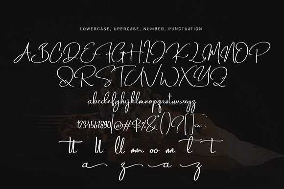 fantastic modern elegant handwritten font.