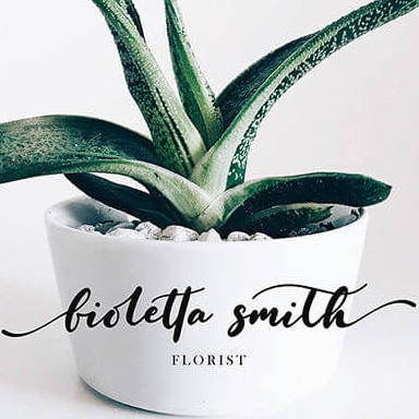 fioletta smith fresh and beautiful handwritten font cover image.