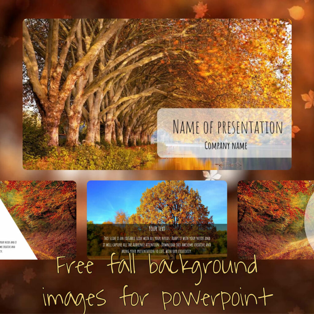 Free Fall Background Images For Powerpoint – MasterBundles