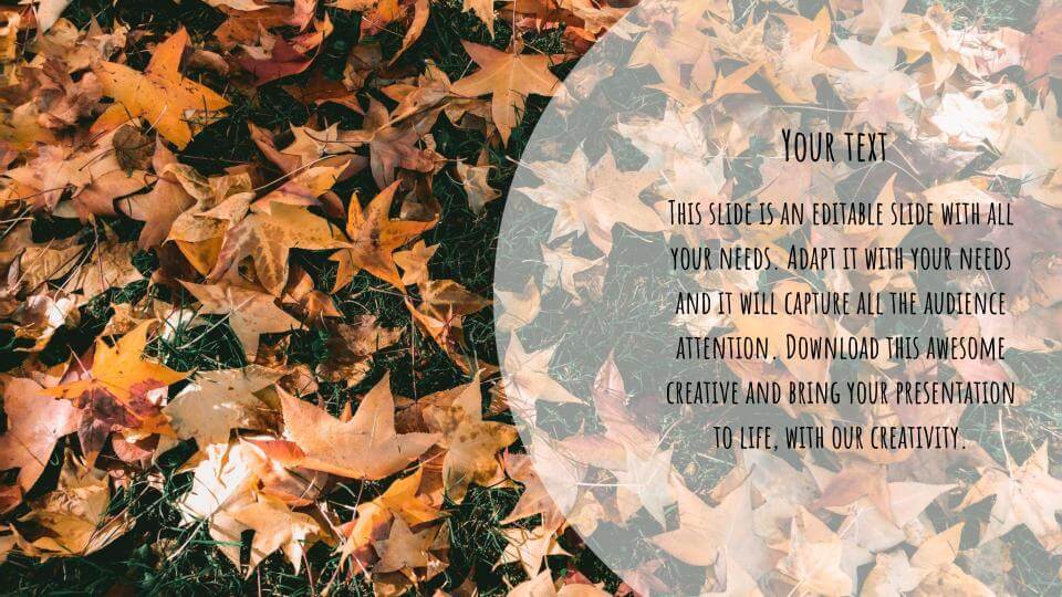 free fall leaves powerpoint background 02