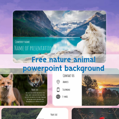 free nature animal powerpoint background 1