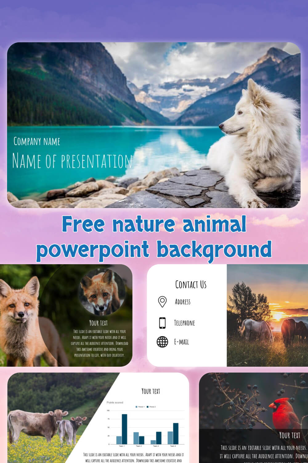 free nature animal powerpoint background 3