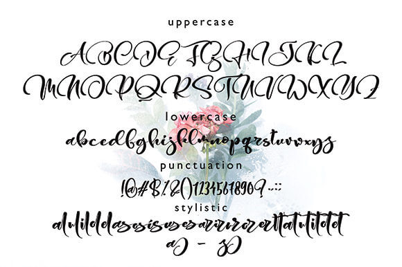 gesttrak stylish calligraphy handwritten script font all symbols example.