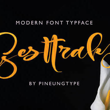 gesttrak stylish calligraphy handwritten script font cover image.